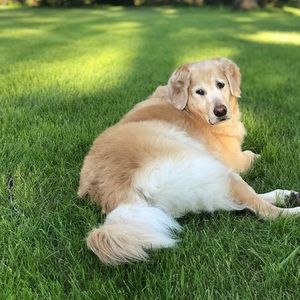 Meet your Posher, Jack